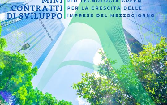 MINI CONTRATTI DI SVILUPPO 2024